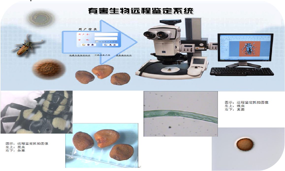 有害生物遠(yuǎn)程鑒定系統(tǒng)